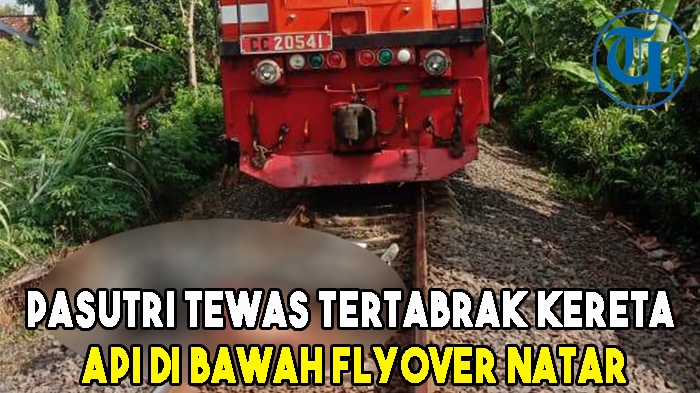 pasutri-tewas-tertabrak-kereta-api-di-bawah-flyover-natar.jpg