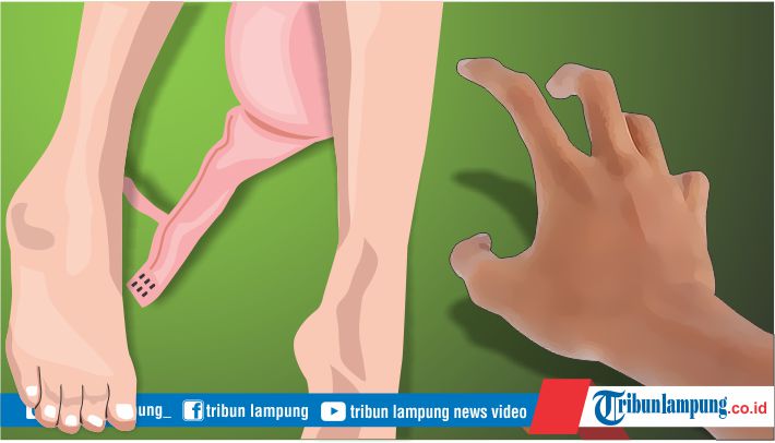 pedangdut-wanita-dijadikan-psk-di-lampung-dijajakan-rp-800-ribu-sekali-kencan-lewat-whatsapp.jpg
