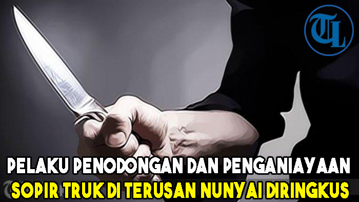 pelaku-penodongan-dan-penganiayaan-sopir-truk-di-terusan-nunyai-diringkus.jpg