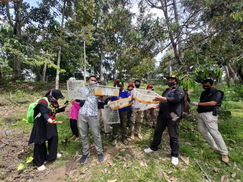 2 Hari Sebelumnya 3.125 Burung Juga Dilepasliarkan di Tahura Wan Abdurahman