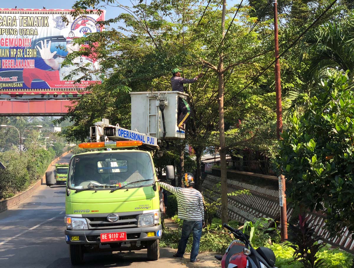 pemangkasan-pohon-di-jalan-alamsyah-ratuperwiranegara-kotabumi_20180531_114112.jpg