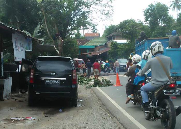 pemangkasan-pohon-di-jalan-imam-bonjol_20180521_132838.jpg