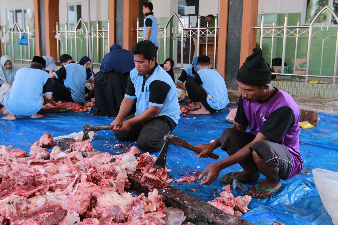 Ditemukan 12 Kasus Cacing Hati pada Hewan Kurban di Lampung Selatan