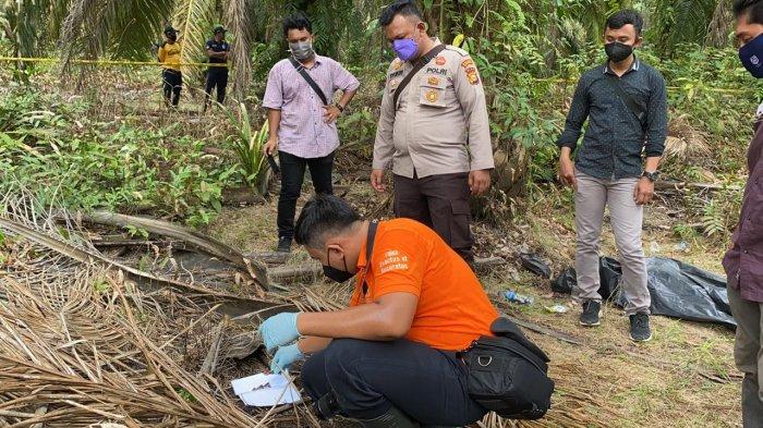 pembunuhan-di-kebun-sawit-riau.jpg