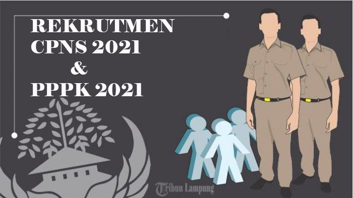 pemprov-lampung-usulkan-494-formasi-untuk-cpns-2021-dan-pppk-2021.jpg