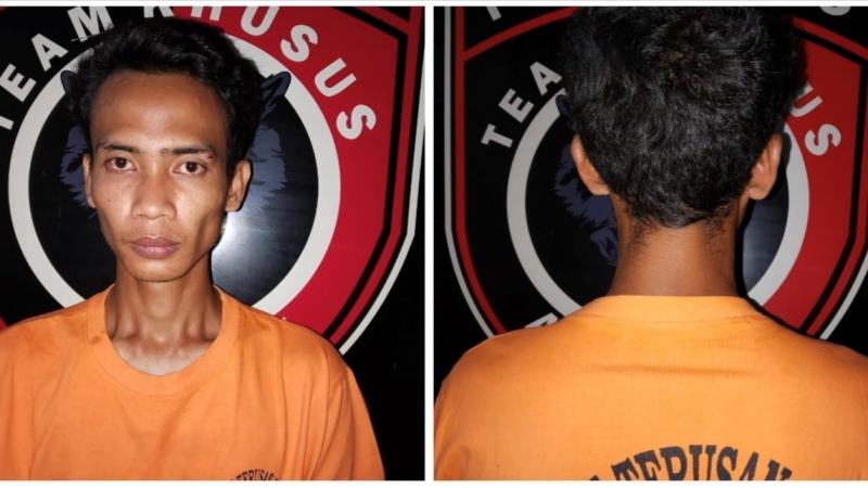 2 Pria Terciduk Satpam Curi Nanas PT GGP Lampung Tengah, Satu Kabur