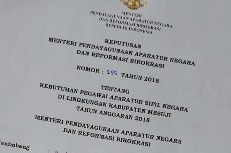 penerimaan-cpns-kabupaten-mesuji-2018-kemen-panrb-menetapkan-formasi-cpns-untuk-kabupaten-mesuji_20180910_085346.jpg