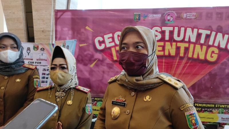 Wagub Nunik Targetkan Penurunan Kasus Stunting di Lampung Tahun 2022 Jadi 15 Persen