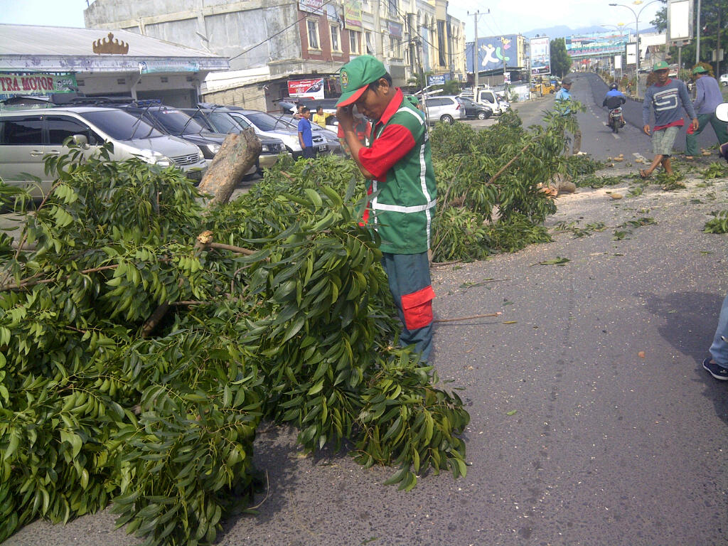 Warga Minta Disbertam Pangkas Pohon di Bawah Flyover Jalan Sultan Agung
