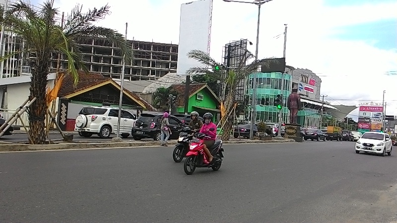 20 Pohon dengan Nilai Proyek Rp 200 Juta Itu Kini Pelepahnya Mulai Menganggu