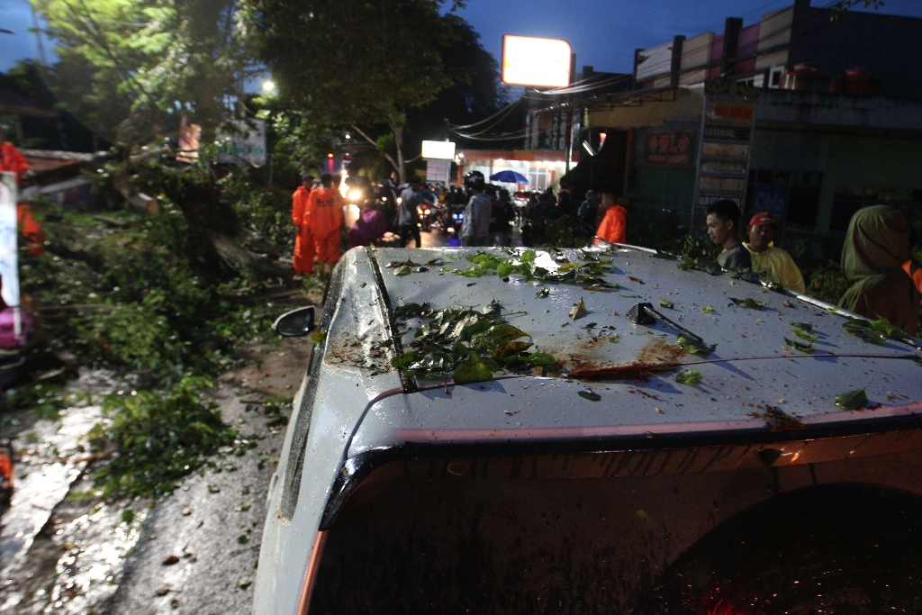 Timpa Mobil, Pohon Tumbang di Segala Mider Bikin Macet
