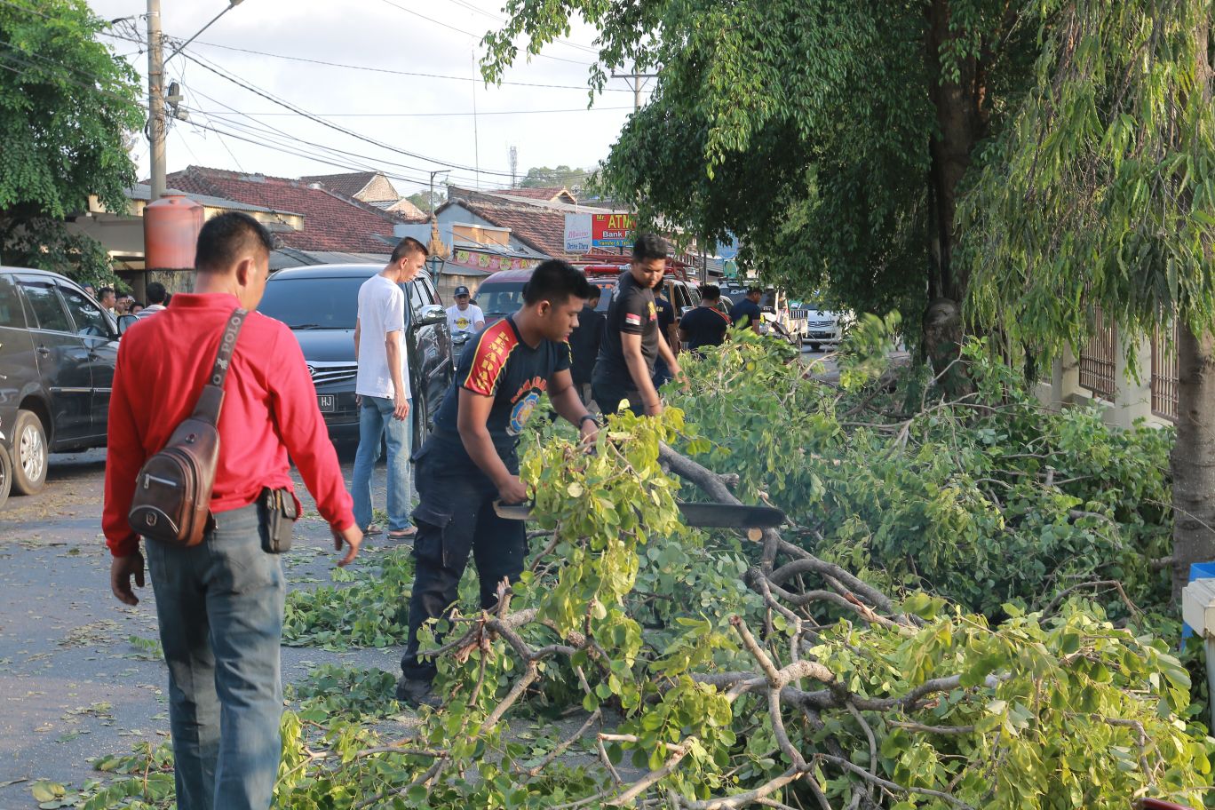 BERITA FOTO - BPBD Potong Pohon Tumbang di Gedong Air