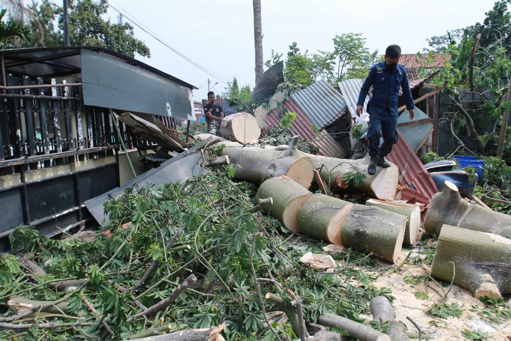 pohon-tumbang-di-jalan-dewi-sartika.jpg