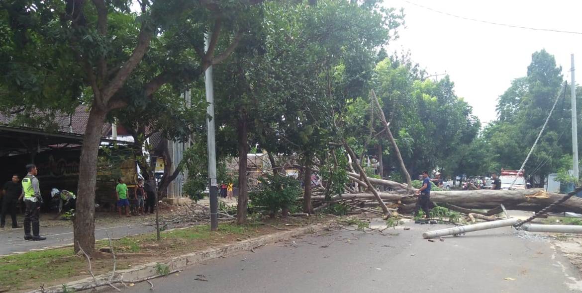 pohon-tumbang-di-jalan-pangeran-emir-m-noer.jpg