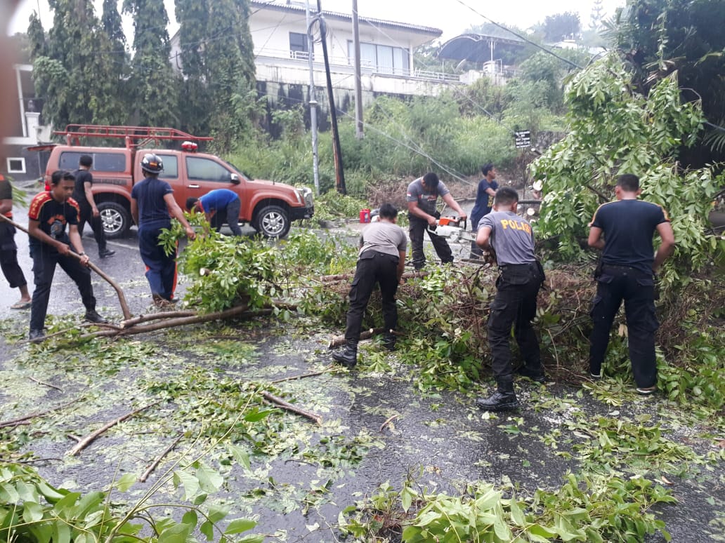 pohon-tumbang-di-jalan-wolter-mongonsindi-kelurahan-gotong-royong-tanjungkarang-pusat.jpg