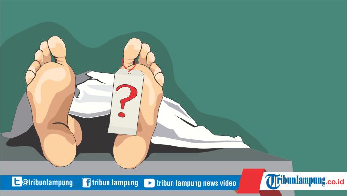 Kronologi Kecelakaan Maut di Jalinsum yang Tewaskan Mahasiswa asal Bakauheni