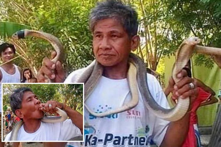 pria-yang-mengaku-kebal-bisa-tewas-setelah-digigit-ular-kobra.jpg