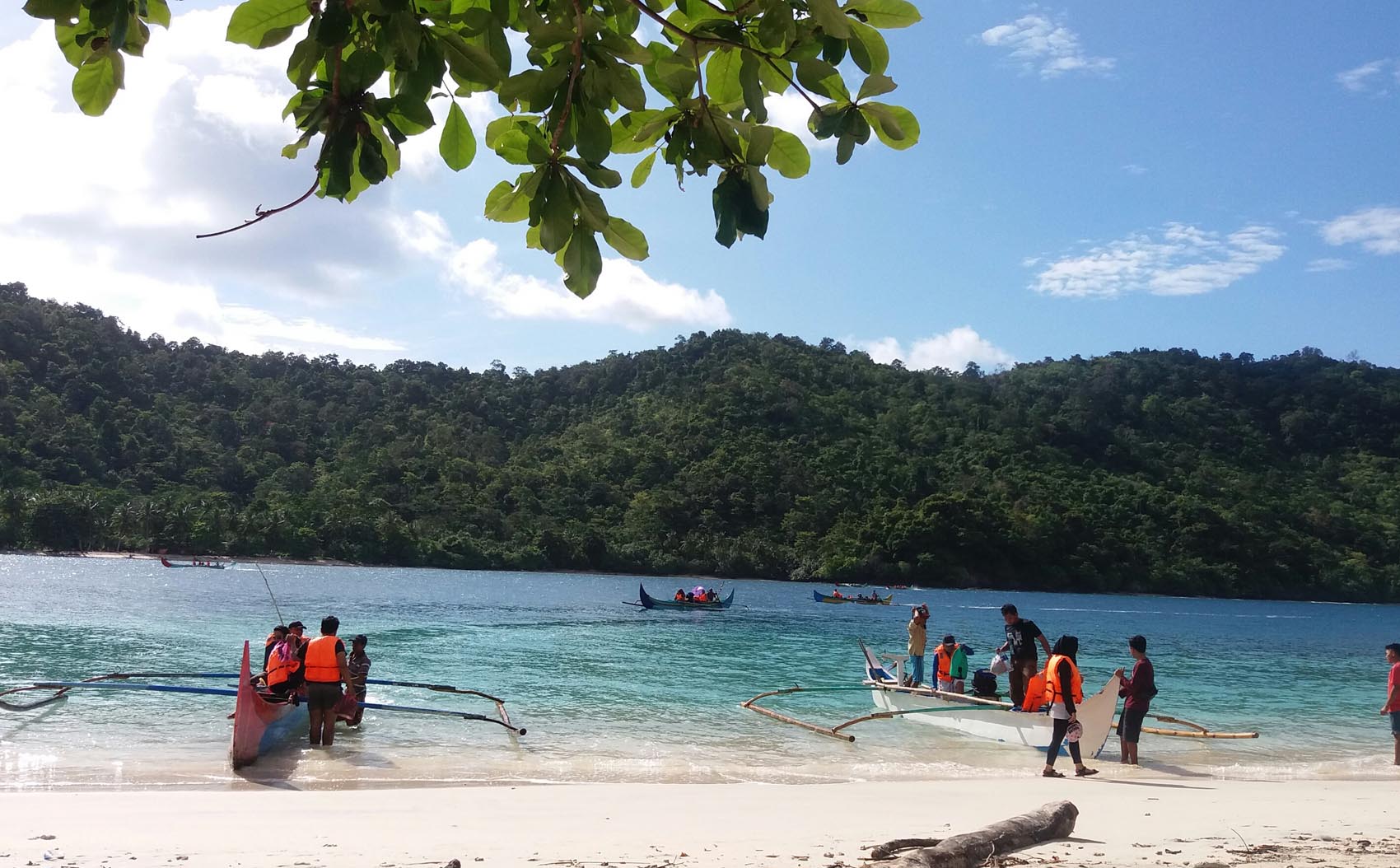 Dari Dholpin Tour Hingga Snorkeling Bisa Dilakukan di Pulau Kiluan