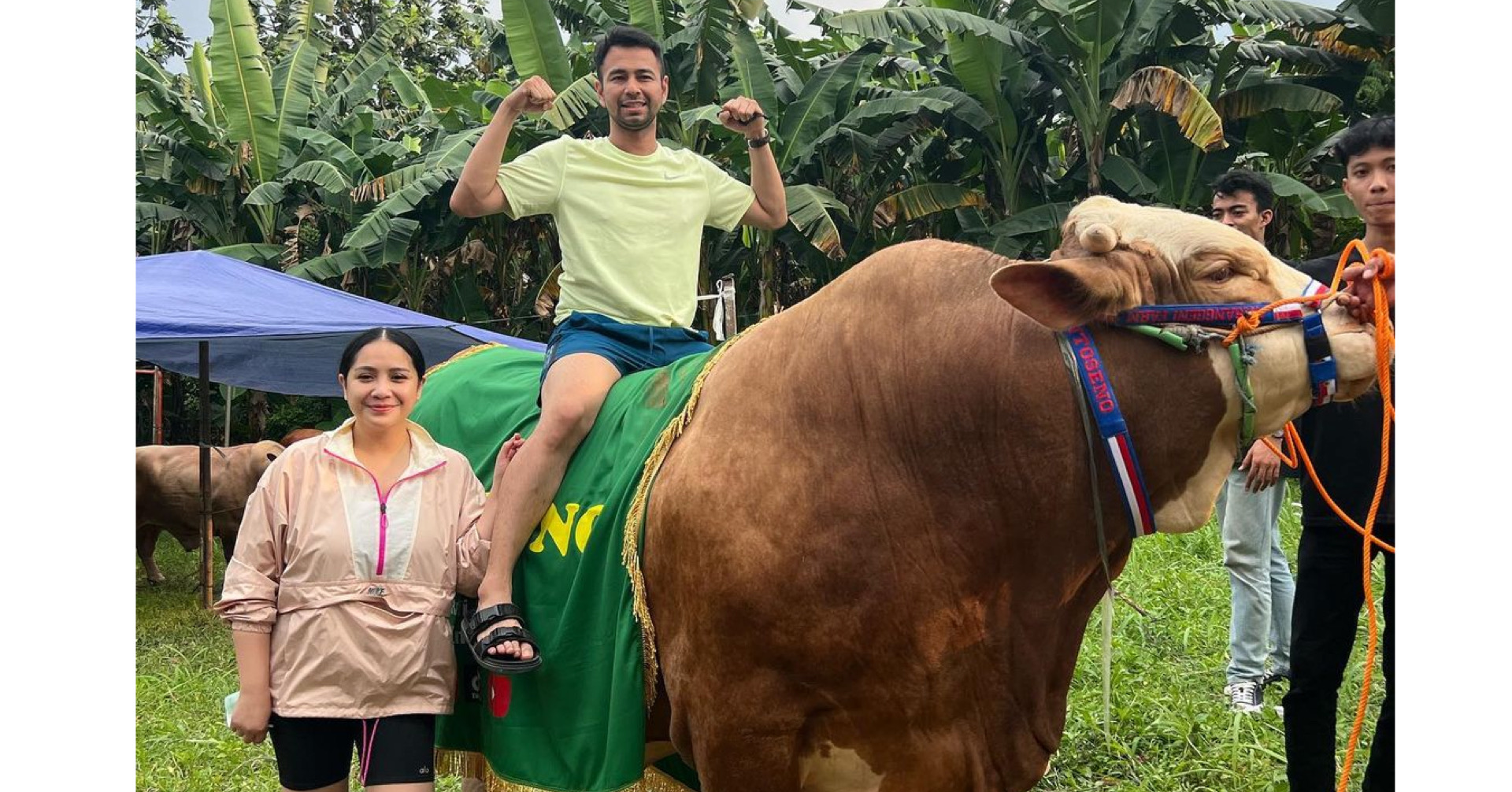 Raffi Ahmad Kurban 20 Ekor Sapi Tepati Janji untuk Asisten, Ada yang Beratnya 1,3 Ton