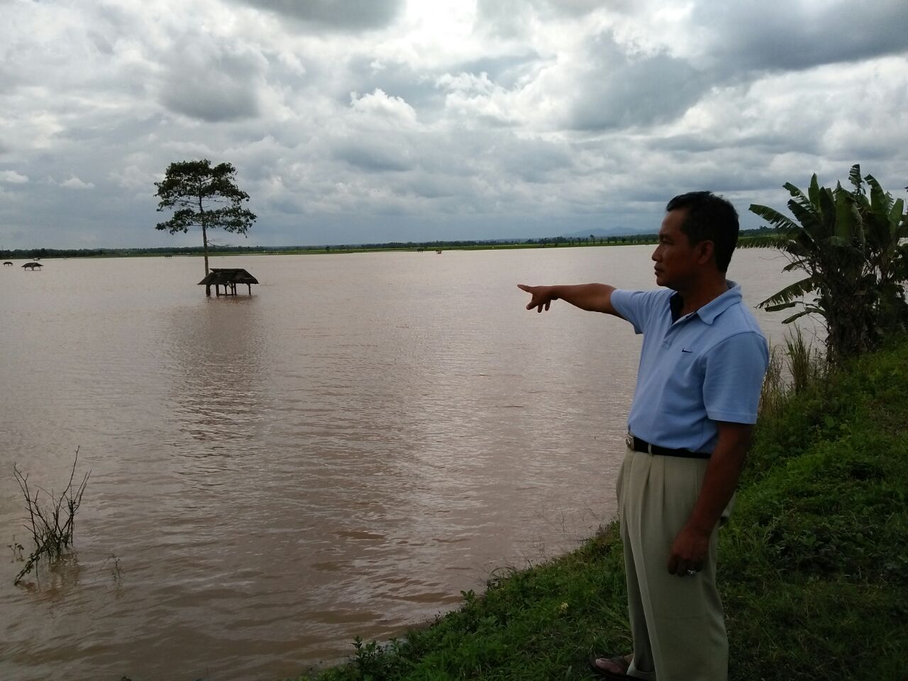 sawah-terendam-banjir-di-lamsel_20170218_134851.jpg