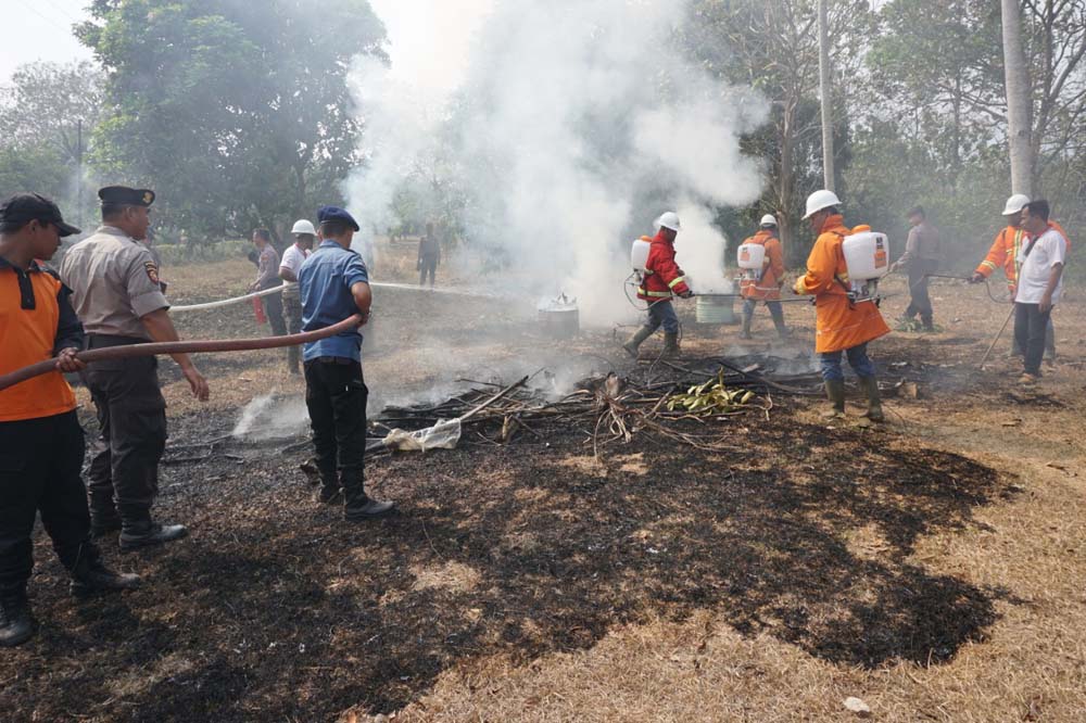 5 Perusahaan Lampung Resmi Tersangka Karhutla, Dedi Prasetyo: Ancamannya Sampai Rp 2 Miliar