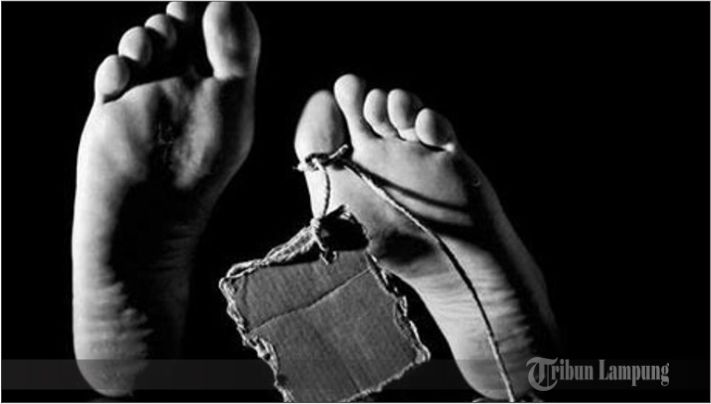 Suami Tewas Dimutilasi Istrinya, Pakai Kapak dan Pisau, Alat Vital Korban Dijadikan Makanan Hewan
