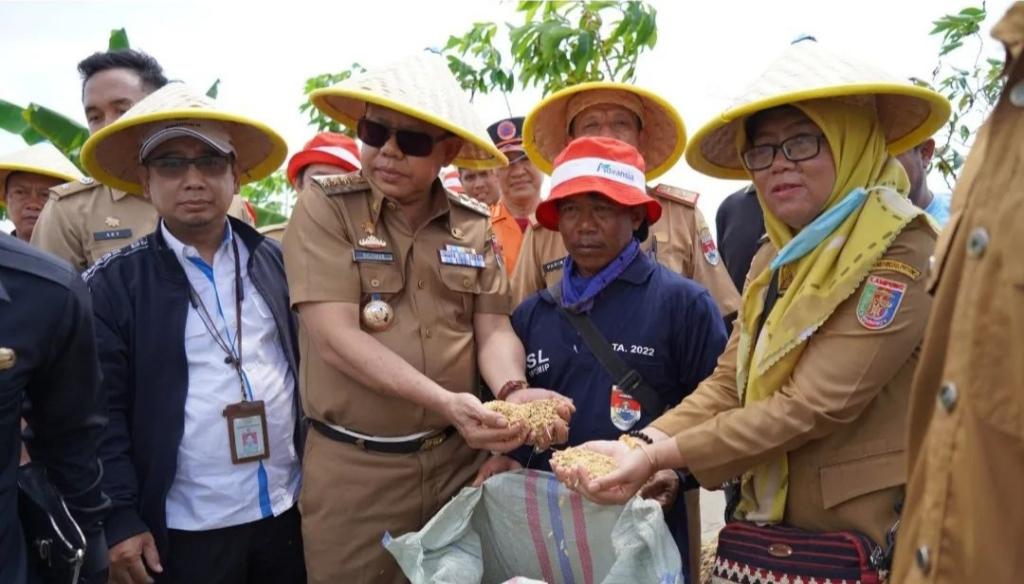 Dinas Pertanian Mesuji Lampung Sebut Target Produksi Gabah Kering Giling 2022 Sebanyak 262.259 Ton