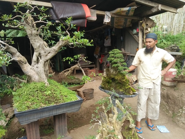 Ketua RT di Kemiling Ini Raup Jutaan Rupiah dari Bonsai