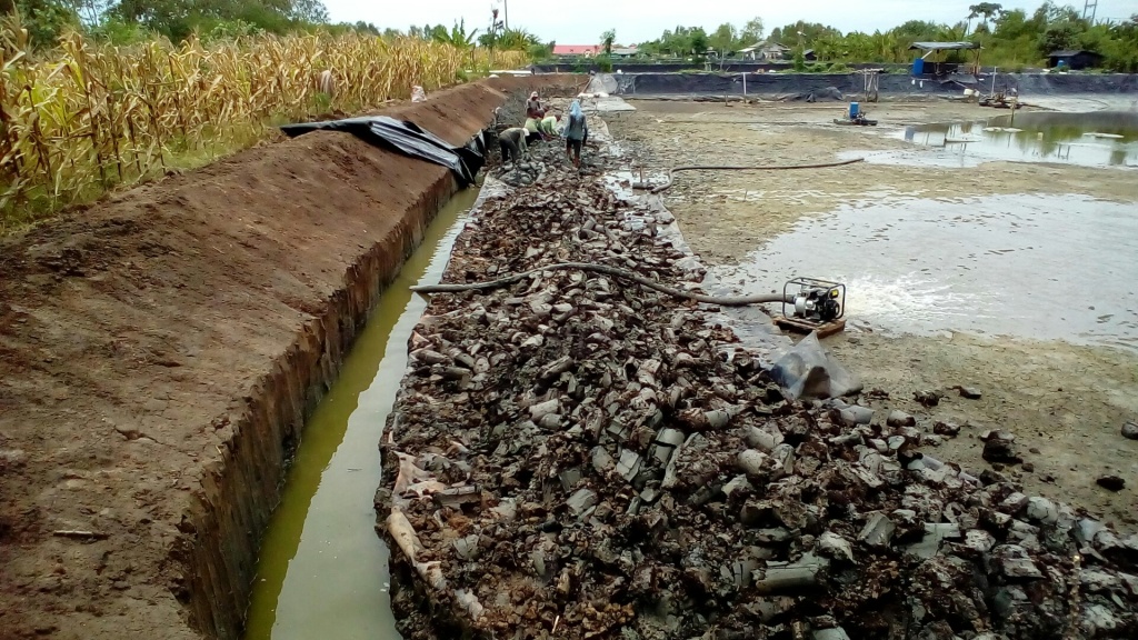 Modal Rp 30 Juta per Tambak Raib karena Udang Terserang Virus Myo