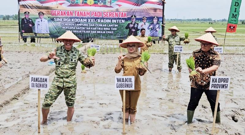 tanam-padi-serentak-di-Lampung-Timur-20.jpg