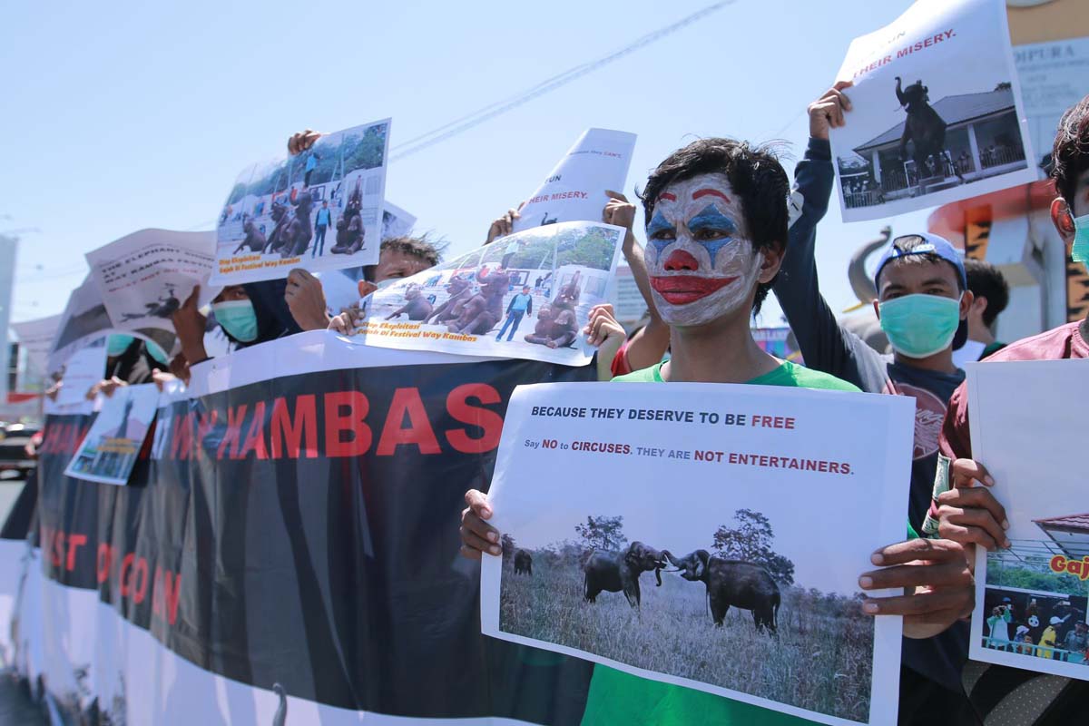 BERITA FOTO - Tolak Eksploitasi Gajah, Masyarakat Anti Sirkus Hewan Indonesia Gelar Aksi Damai