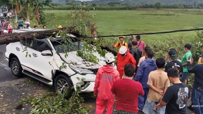 Fortuner Berisi 8 Orang Remuk Tertimpa Pohon Tumbang