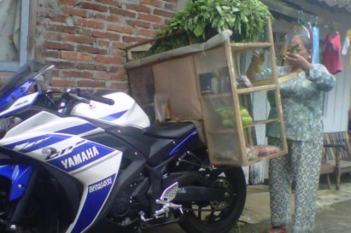 Viral Tukang Sayur Curhat Bosan dengan Istri setelah Bertemu Janda: Menikah 10 Tahun Punya 7 Anak