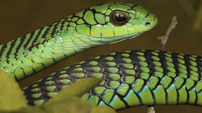 Teshik orqali blowjobs toplami Paypoqdagi katta sonli ayollar porno fotosuratlar