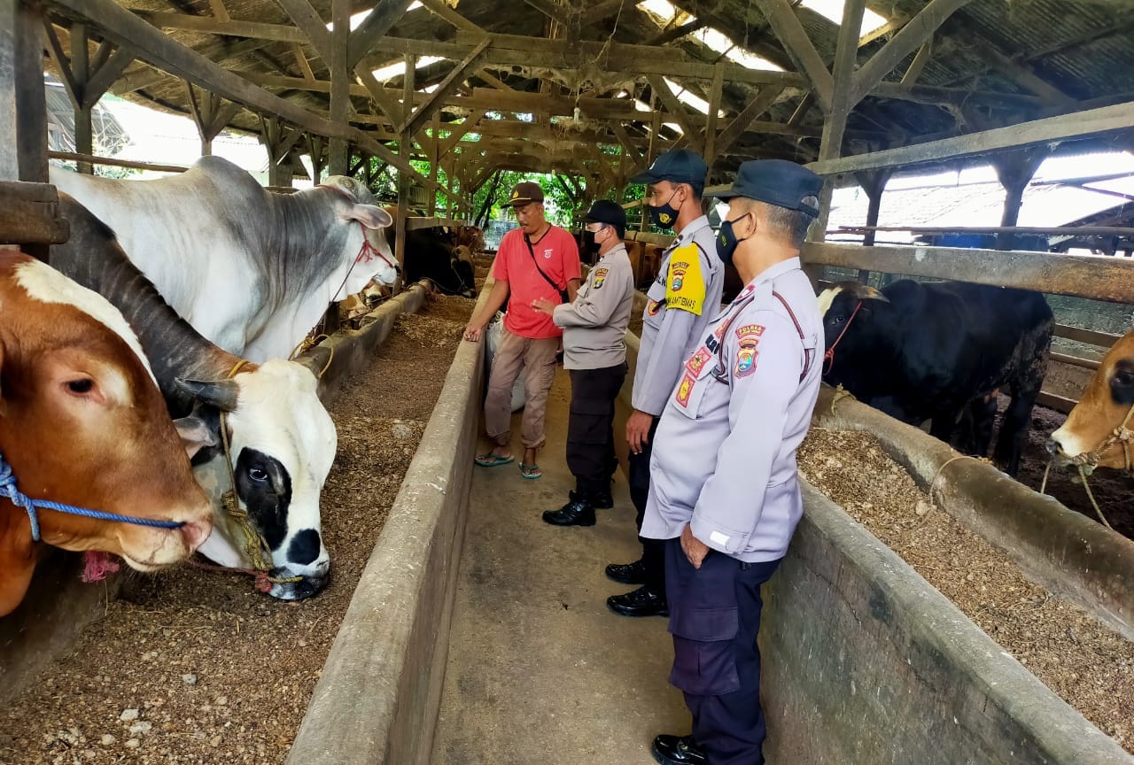 untuk-rutin-membersihkan-kandang-hewan.jpg
