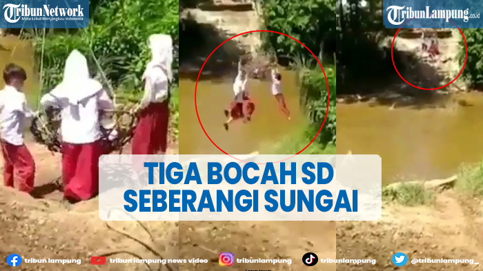 viral-3-bocah-sd-bergelantungan-di-keranjang-rotan-untuk-seberangi-sungai.jpg