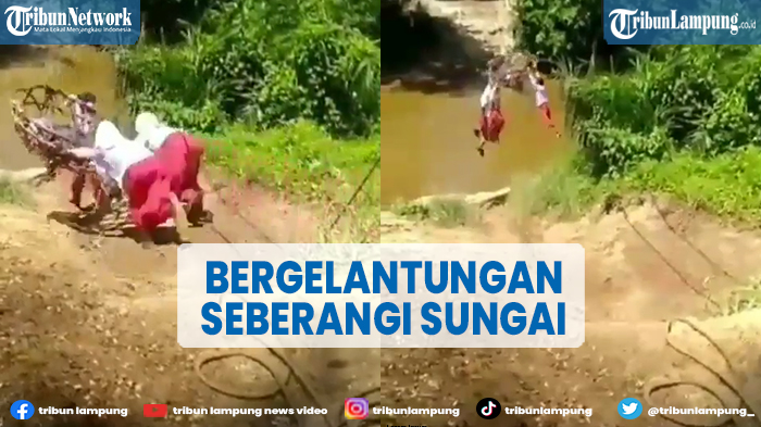 viral-3-bocah-sd-bergelantungan-seberangi-sungai-di-riau-berikut-faktanya.jpg