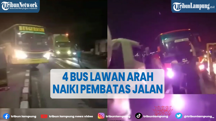 viral-4-bus-lawan-arah-dihadang-sopir-truk-berakhir-naiki-pembatas-jalan.jpg