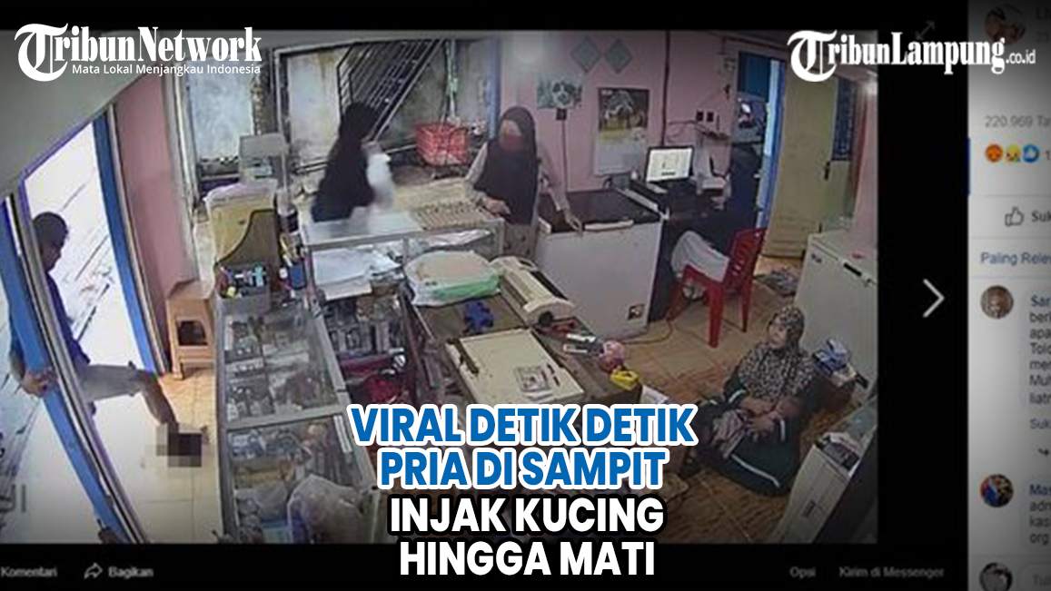 viral-detik-detik-pria-di-sampit-injak-kucing-hingga-mati.jpg