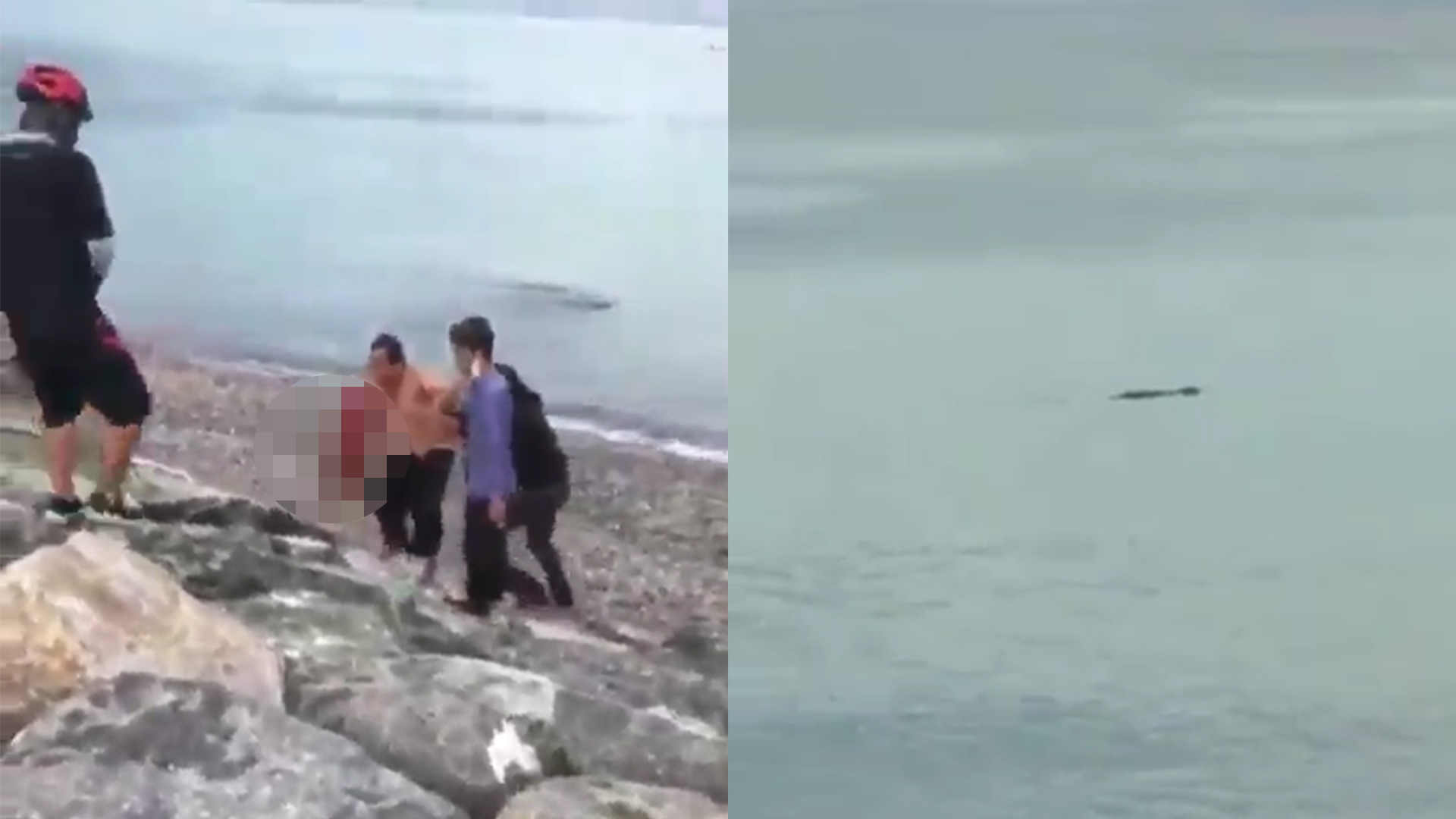 viral-detik-detik-tangan-seorang-pria-putus-digigit-buaya-saat-berenang-di-pantai-talise.jpg
