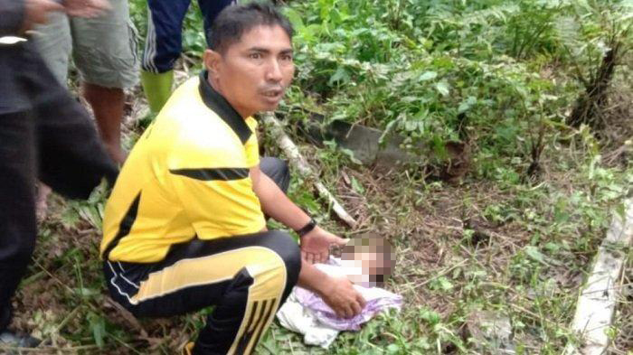 viral-di-fb-video-penemuan-bayi-di-semak-semak-dan-masih-hidup.jpg