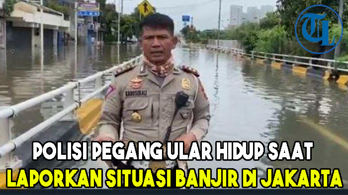 Alasan di Balik Video AKBP Karosekali Pegang Ular saat Laporkan Arus Lalu Lintas