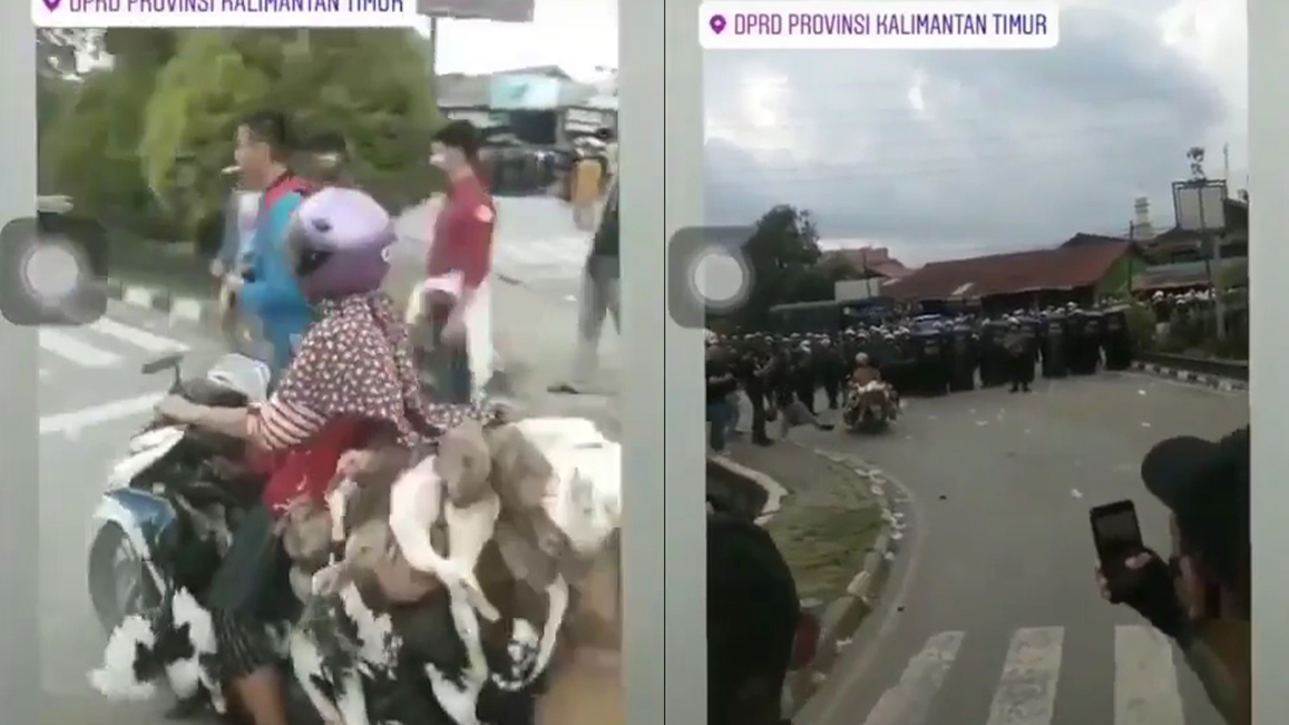 viral-emak-emak-di-samarinda-bawa-puluhan-bebek-terobos-barikade-polisi-saat-demo.jpg