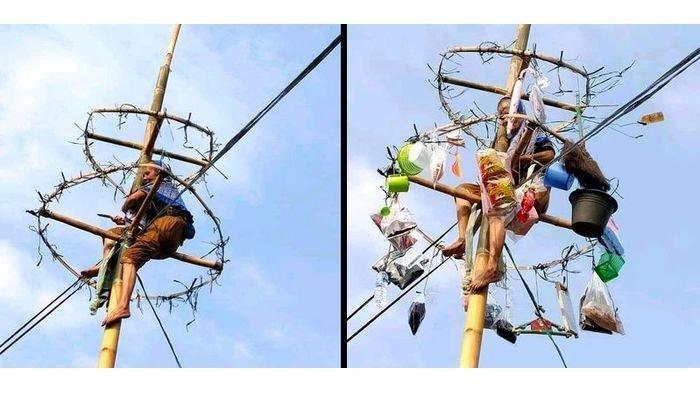 VIRAL Nenek 60 Tahun Ikut Lomba Panjat Pinang, Emak Ocih: Enggak Takut Emak Mah!