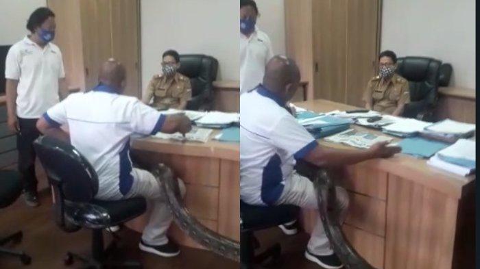 viral-pria-bawa-ular-hadap-kadis-minta-proyek.jpg