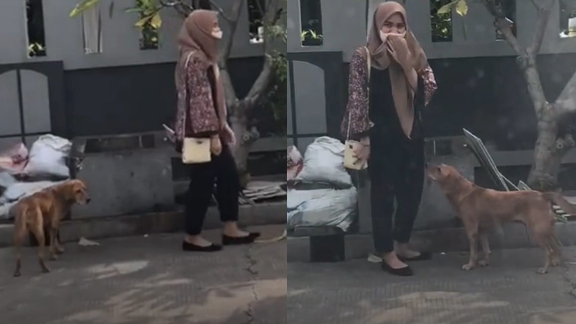 viral-seorang-wanita-berdiri-mematung-saat-anjing-mendekat.jpg