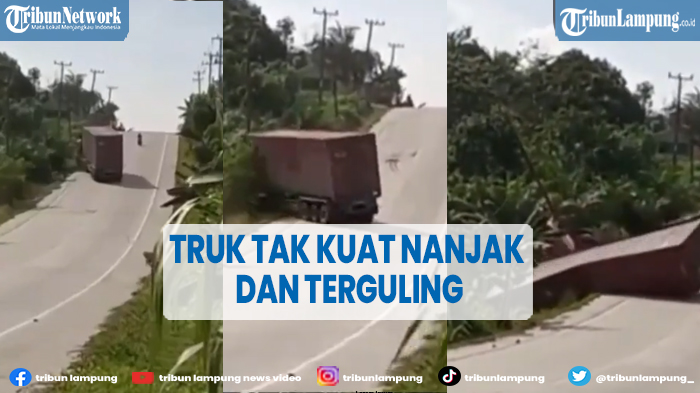 viral-truk-kontainer-tak-kuat-menananjak-hingga-terperosok-ke-jurang.jpg