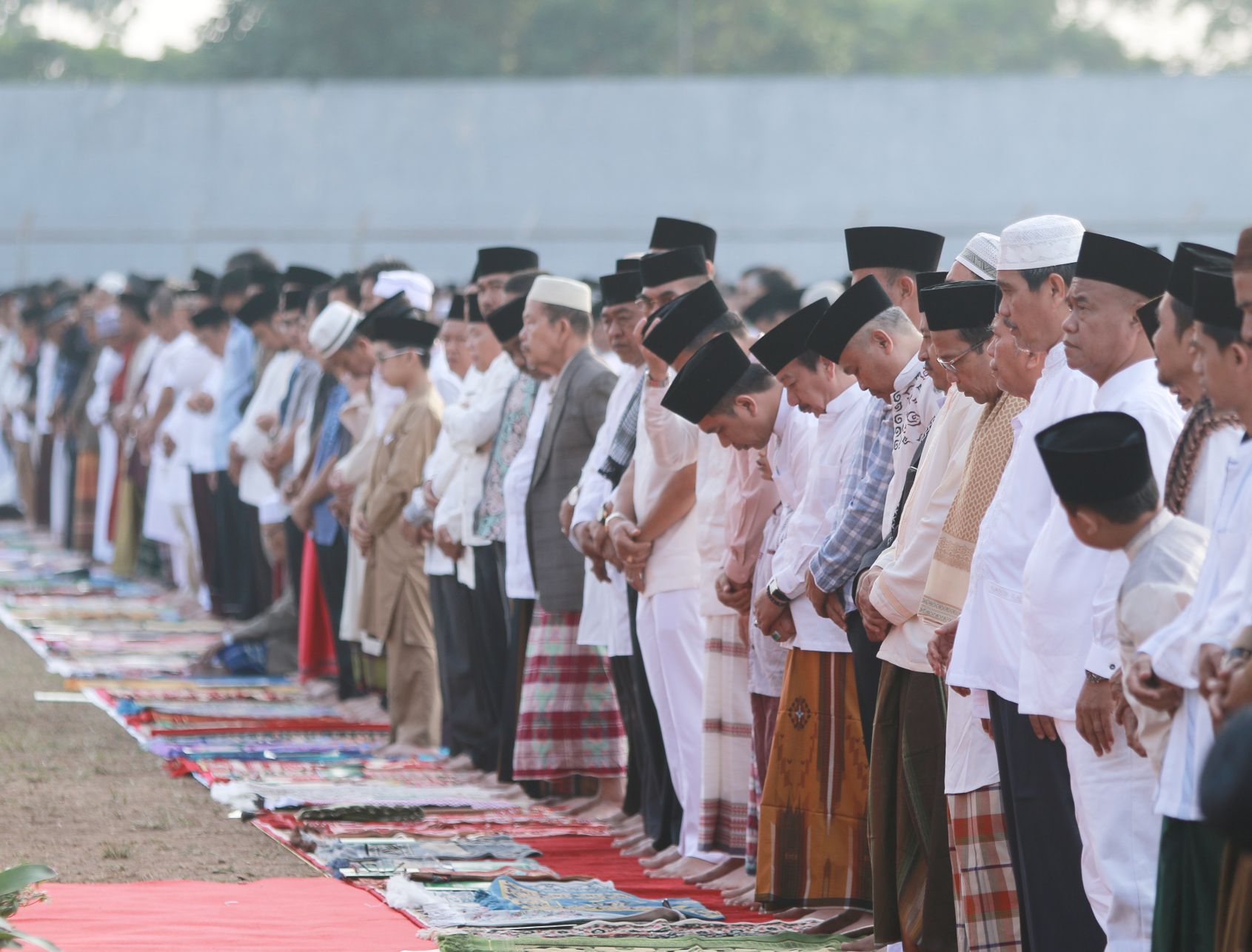 Fatwa MUI soal Sholat Idul Adha dan Hukum Penyembelihan Kurban di Masa Covid-19