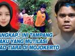 Alvi-Maulana-pelaku-pembunuhan-dan-pemutilasi-MOJOKERTO.jpg