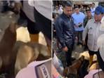 Prabowo Beri Pujian ke Anjing Heroik yang Selamatkan Tuannya Saat Banjir di Bali